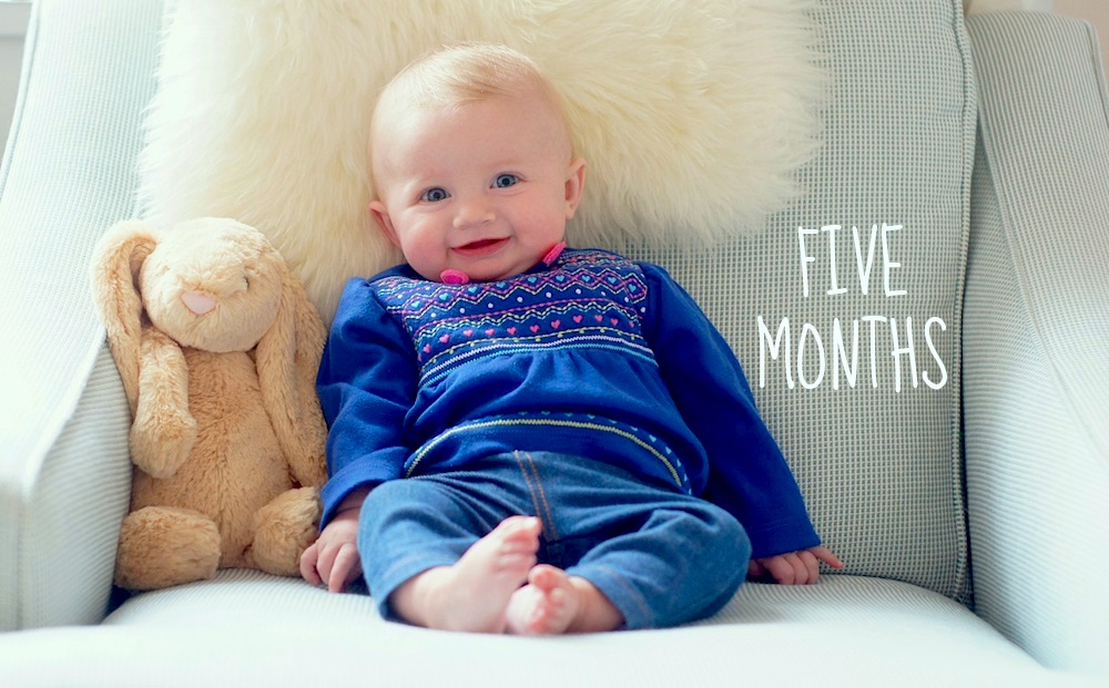 Fearless Baby - 5 months old